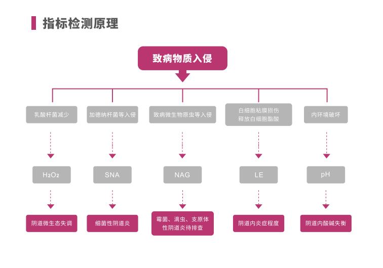 全自动阴道炎香蕉视频黄污下载LTS-V400指标检测原理