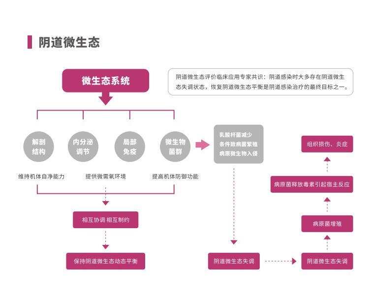 全自动阴道炎香蕉视频黄污下载LTS-V400阴道微生态系统