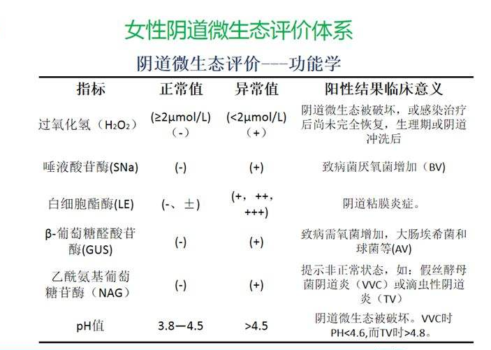 妇科微生态香蕉视频黄污下载器